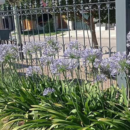 Oasis Cochera Opcional Bahía Blanca 部屋 写真